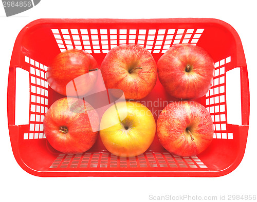 Image of Red Apples