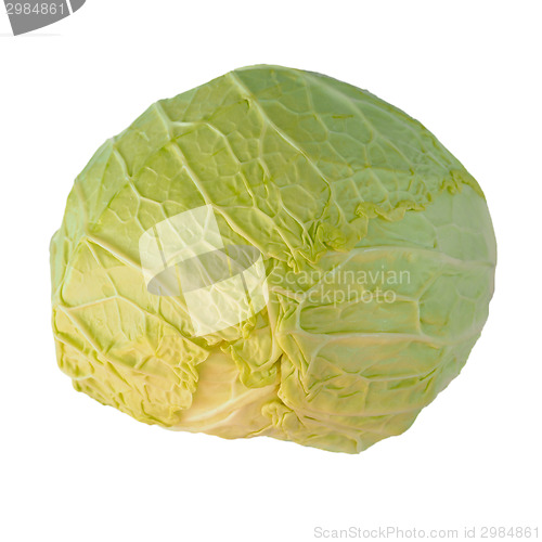 Image of Cabbage isolated