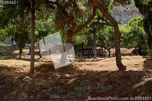 Image of Park Acropolis.