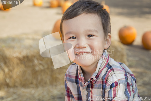 Image of Mixed Race Young Boy Having Fun at the Pumpkin Patch