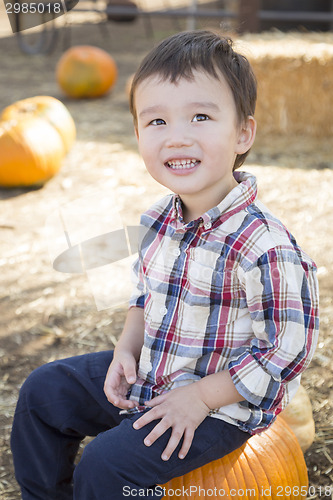 Image of Mixed Race Young Boy Having Fun at the Pumpkin Patch