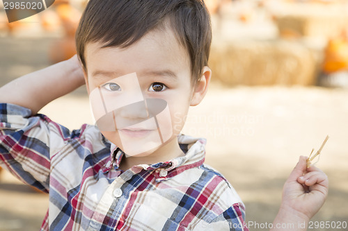 Image of Mixed Race Young Boy Having Fun at the Pumpkin Patch