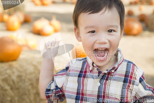 Image of Mixed Race Young Boy Having Fun at the Pumpkin Patch