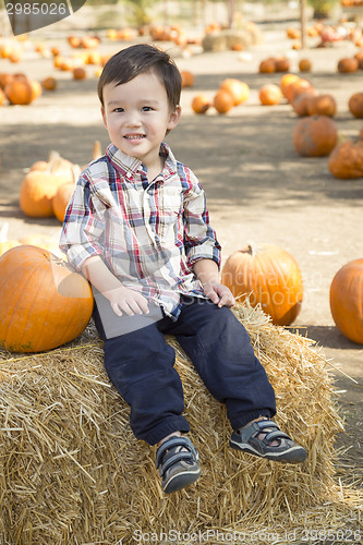 Image of Mixed Race Young Boy Having Fun at the Pumpkin Patch