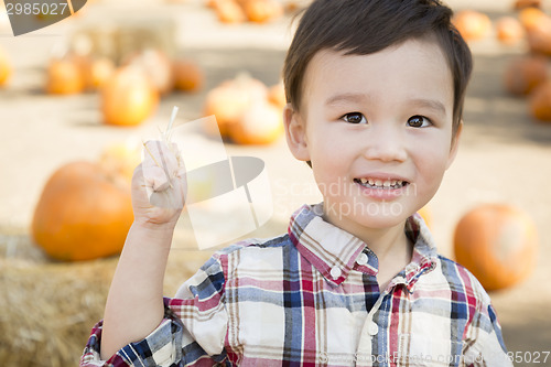 Image of Mixed Race Young Boy Having Fun at the Pumpkin Patch