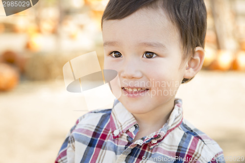 Image of Mixed Race Young Boy Having Fun at the Pumpkin Patch