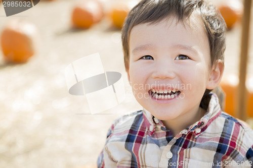 Image of Mixed Race Young Boy Having Fun at the Pumpkin Patch