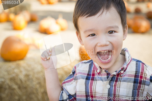 Image of Mixed Race Young Boy Having Fun at the Pumpkin Patch