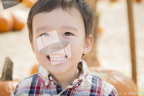 Image of Mixed Race Young Boy Having Fun at the Pumpkin Patch