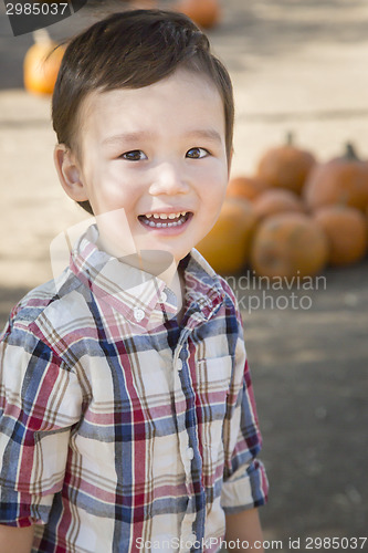 Image of Mixed Race Young Boy Having Fun at the Pumpkin Patch