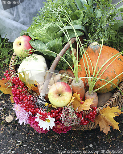 Image of Basket with vegetables and fruits