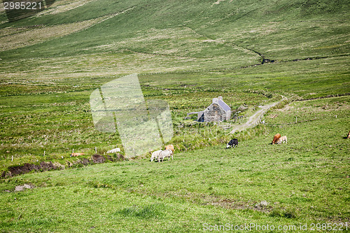 Image of irish landscape