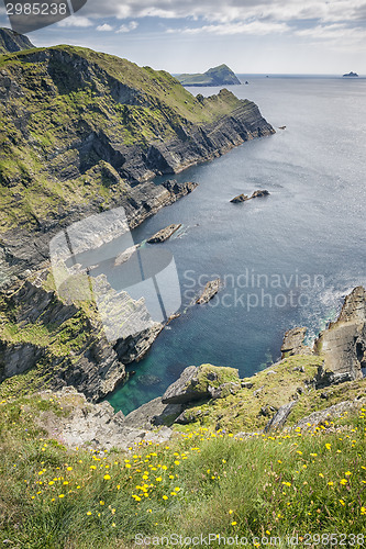 Image of view from Reencaheragh to Skellig Island