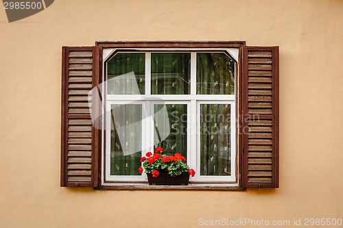 Image of Window with shutters and flower