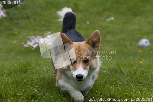Image of coming
