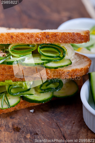 Image of fresh vegetarian sandwich with garlic cheese dip salad