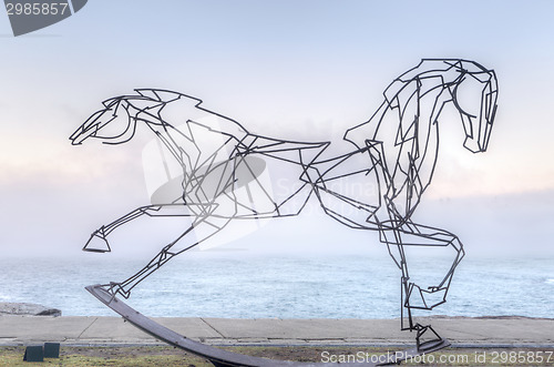 Image of Galloping along the coastal walk Bondi