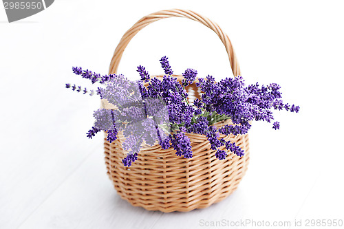 Image of basket of lavender