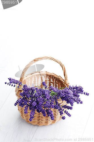 Image of basket of lavender