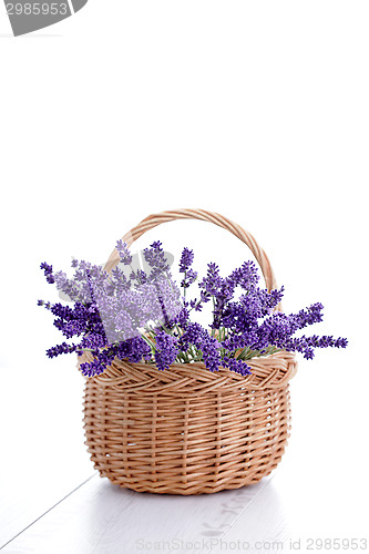 Image of basket of lavender