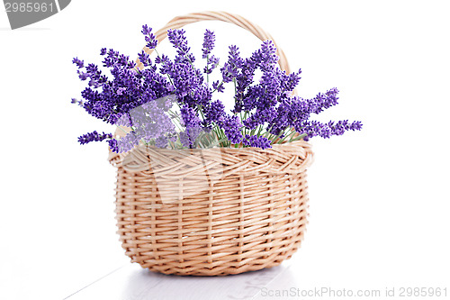 Image of basket of lavender