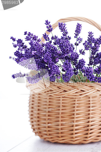 Image of basket of lavender