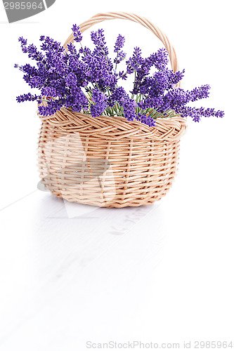 Image of basket of lavender