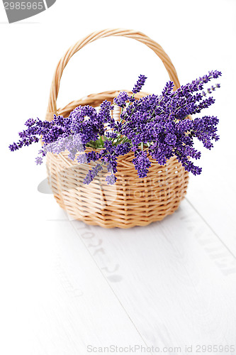 Image of basket of lavender
