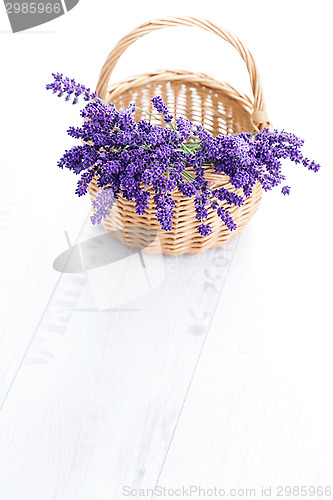 Image of basket of lavender