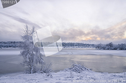 Image of Winter landscape with lake and trees covered with frost