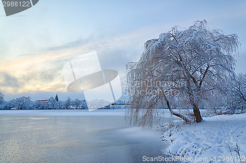 Image of Winter landscape with lake and tree in the frost