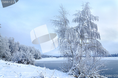 Image of Winter landscape with trees, covered with hoarfrost and lake vie