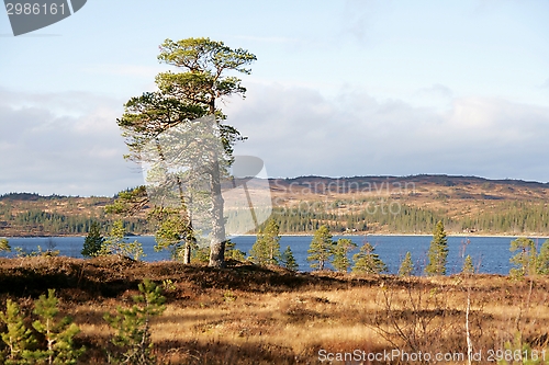 Image of Landscape by a lake