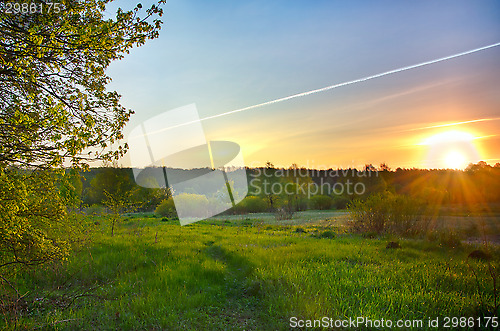 Image of Landscape with the sunrise over the meadow and lines from the ai