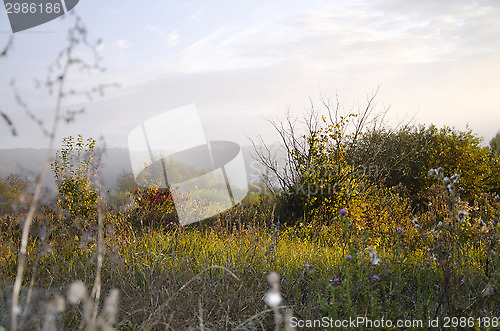 Image of Sunrise on the meadow