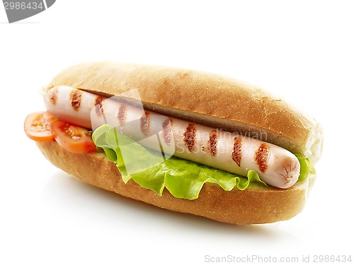 Image of hot dog