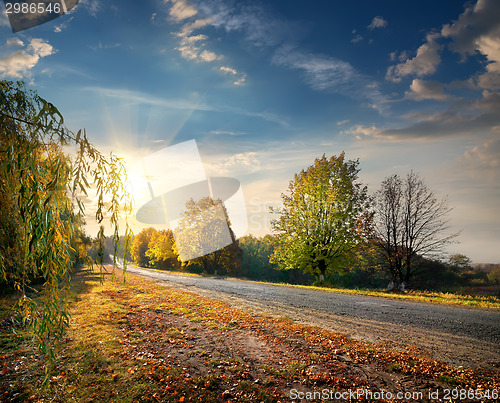 Image of Autumn highway