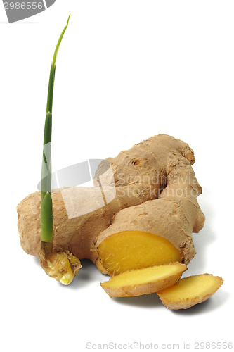 Image of Ginger root on white