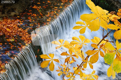 Image of Waterfall at autumn