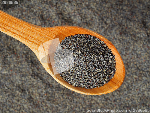 Image of Poppy seeds