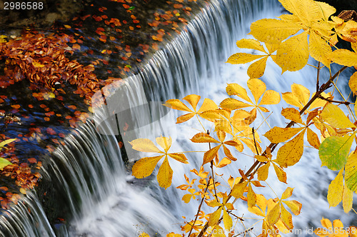 Image of Waterfall at autumn