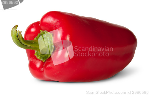 Image of Red Bell Pepper Rotated