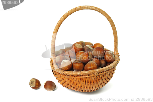 Image of Hazelnuts