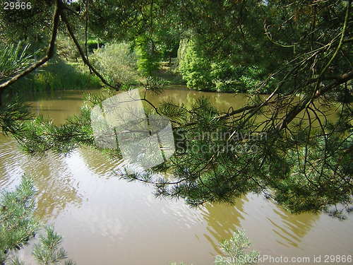 Image of lake