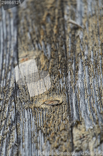 Image of floe up of weathered wood