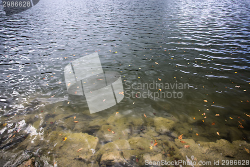 Image of Bavarian lake Schliersee in autumn 