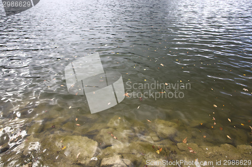 Image of Bavarian lake Schliersee in autumn 