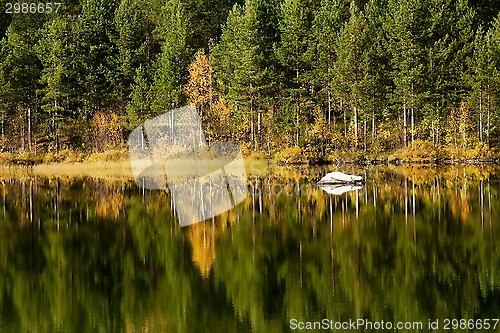 Image of reflections