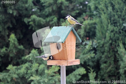 Image of Two Birds Booths