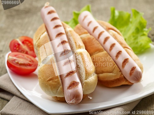 Image of two hot dogs